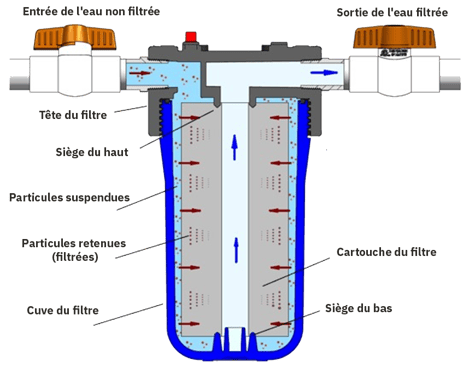Composantes d'un filtre à eau traditionnel et d'un filtre à sédiments à  contre-courant