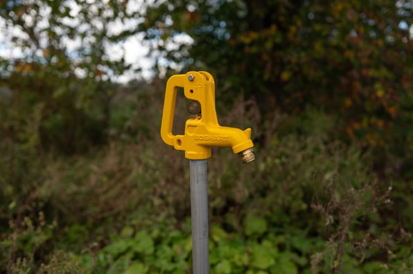 Boshart_YardHydrants-27