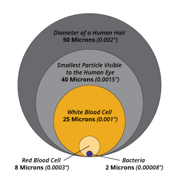 Human hair clearance in microns